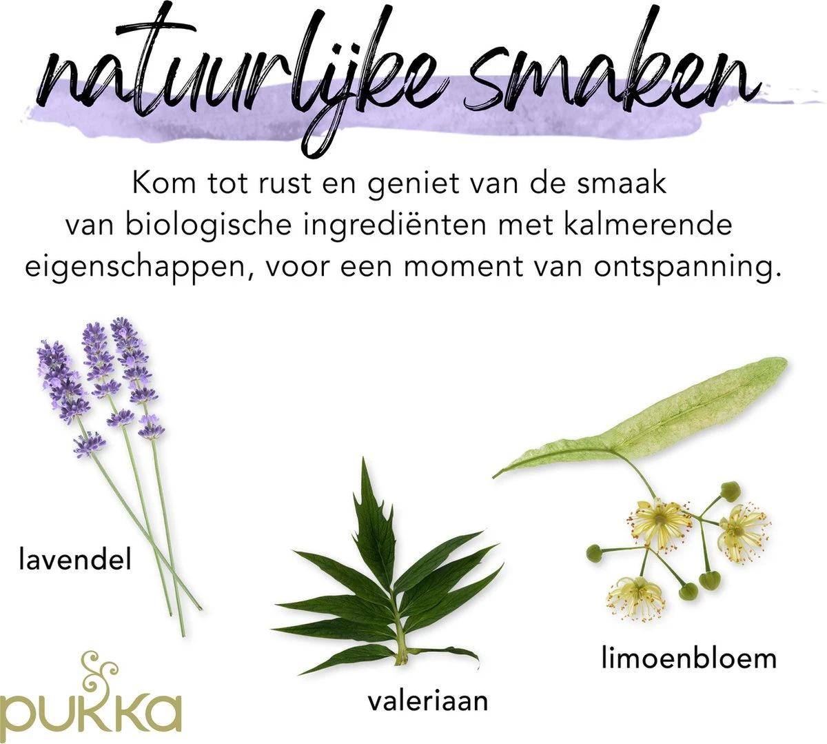 Pukka Night Time Thee, Met Haver, Kamille En Lavendel - 4 X 20 Zakjes - GB-BIO-05 - Afbeelding 6