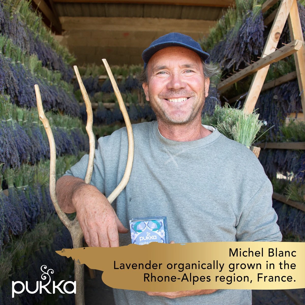 Pukka Relax Thee, Met Kamille, Venkel En Gember - 4 X 20 Zakjes - GB-BIO-05 - Afbeelding 4