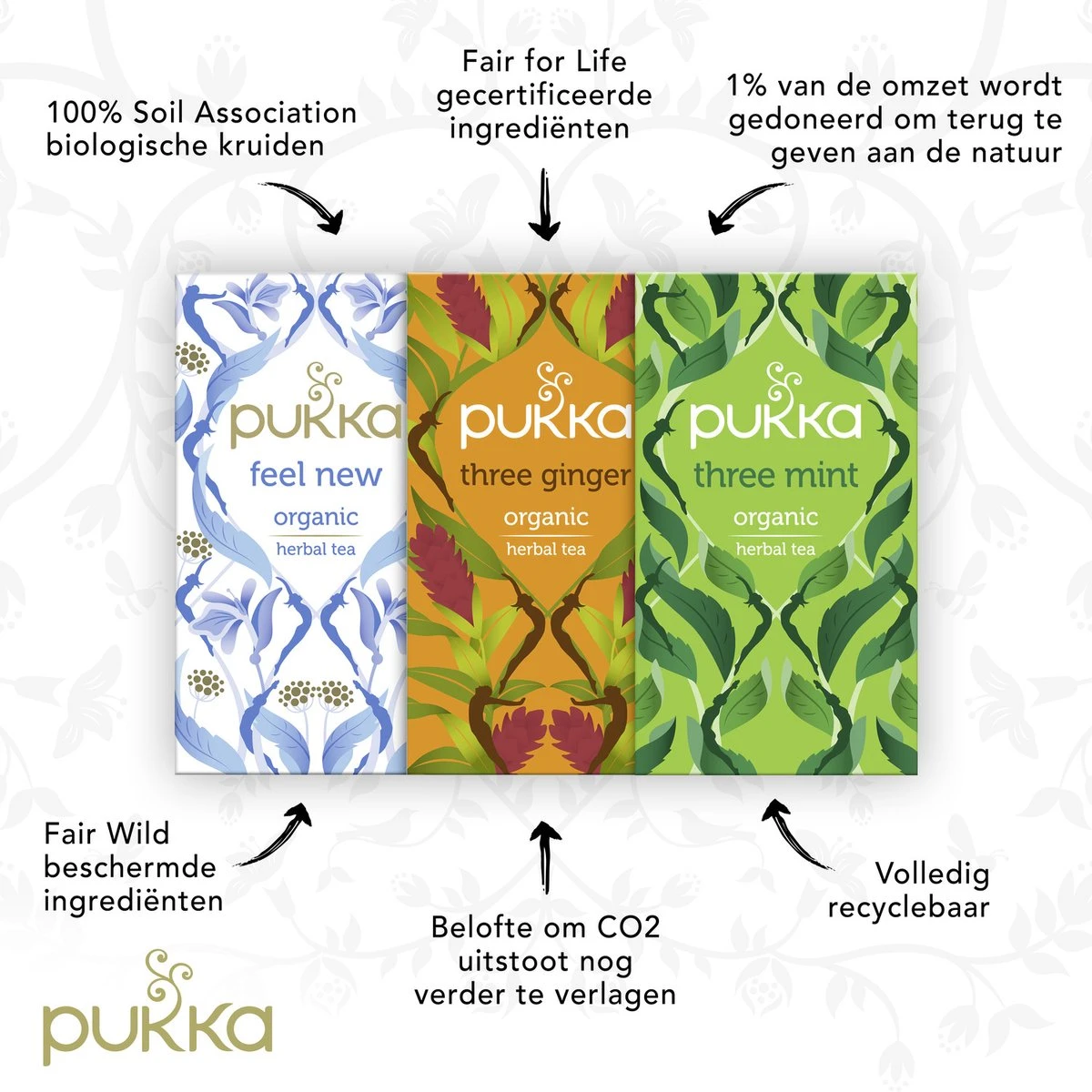 Pukka After Dinner Thee Bundel, Biologische Kruidenthee Voor Na De Maaltijd - 3 X 20 Zakjes - GB-BIO-05 - Afbeelding 5