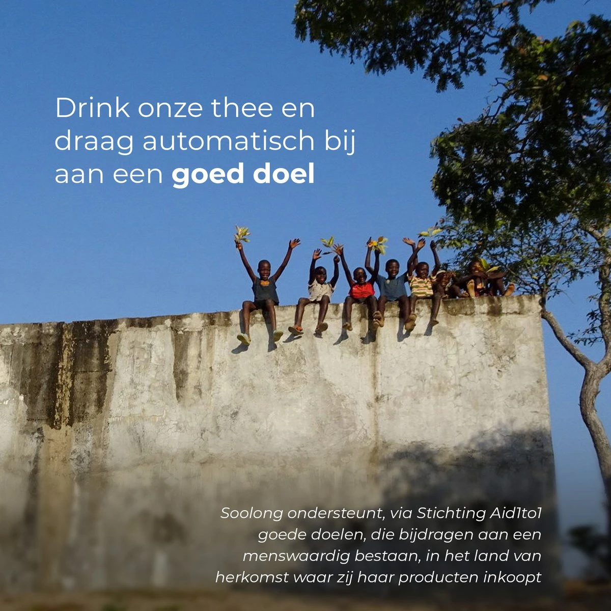 Soolong Japan Nr30 Cadeau Of Proefpakket Met 4 Luxe Japanse Theeen - Exclusieve Fukamushicha, Genmaicha Matcha Satsuki En Sencha - Als Relatiegeschenk, Proeverij Of Valentijnsdag - Assortiment 4stuks - Afbeelding 13