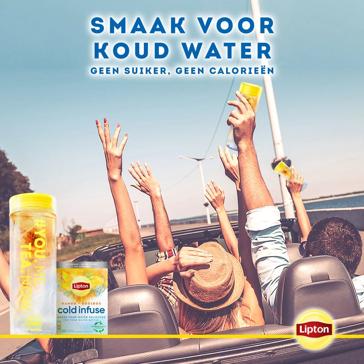 Lipton Cold Infuse Lemon & Camomile, Smaak Voor Koud Water Zonder Suiker En Calorieën - 6 X 10 Zakjes - NL-BIO-01 - Afbeelding 6