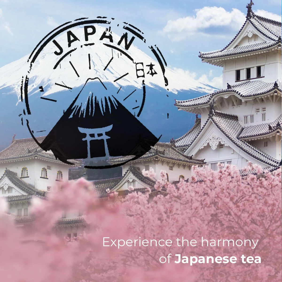 Soolong Enjoy Japan Nr34 Japanse Groene Thee - Fris & Licht Umami - Sencha, Citroengras & Lindebloesem - Duurzame Losse Thee - Premium Thee Uit Japan - Blik 20gram - Afbeelding 5