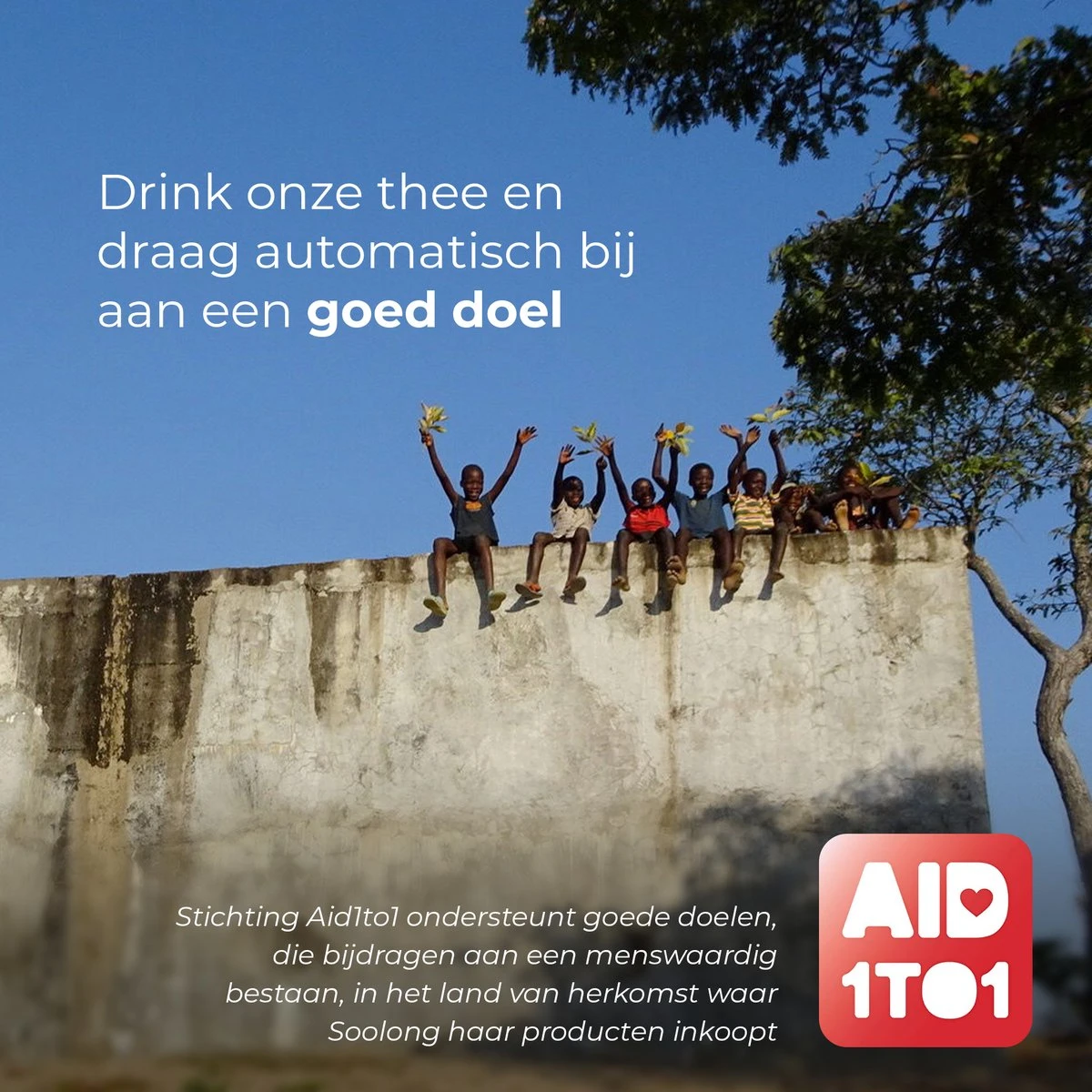 Soolong Enjoy Japan Nr34 Japanse Groene Thee - Fris & Licht Umami - Sencha, Citroengras & Lindebloesem - Duurzame Losse Thee - Premium Thee Uit Japan - Blik 20gram - Afbeelding 7